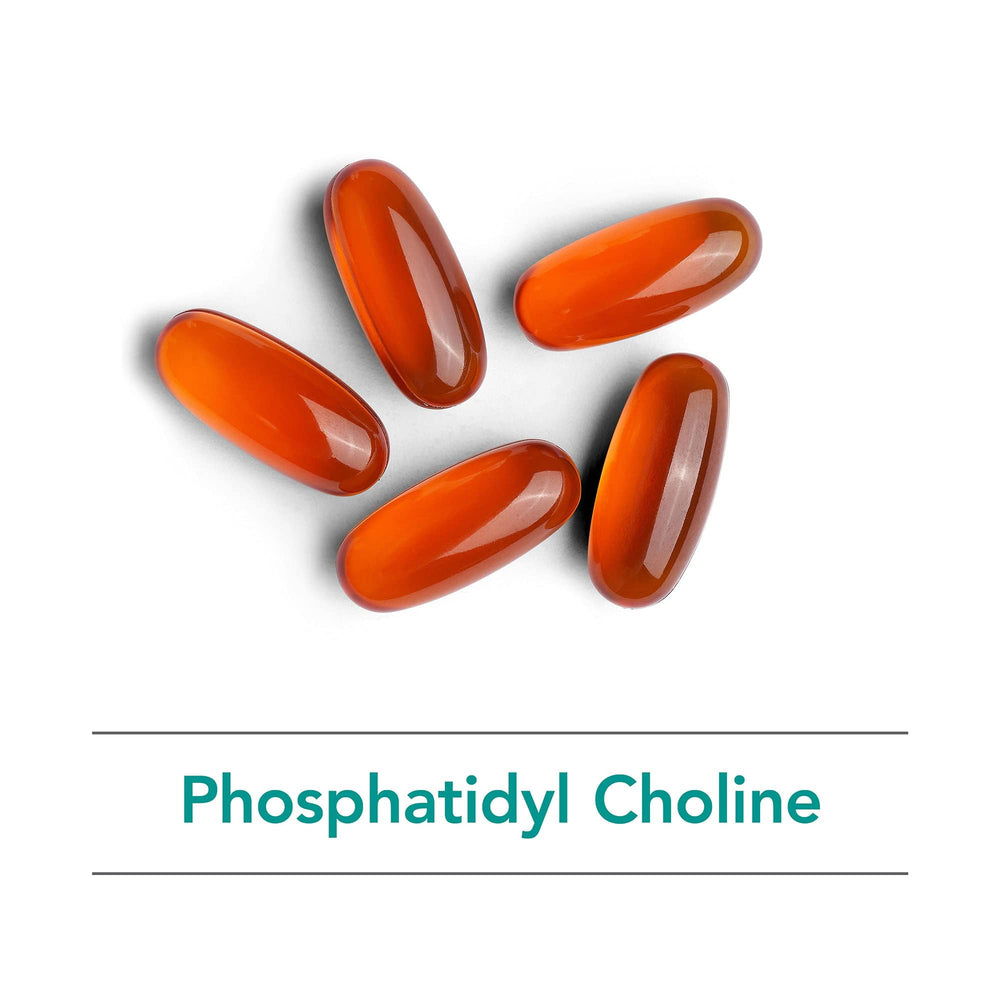 Graphic showing liver function support