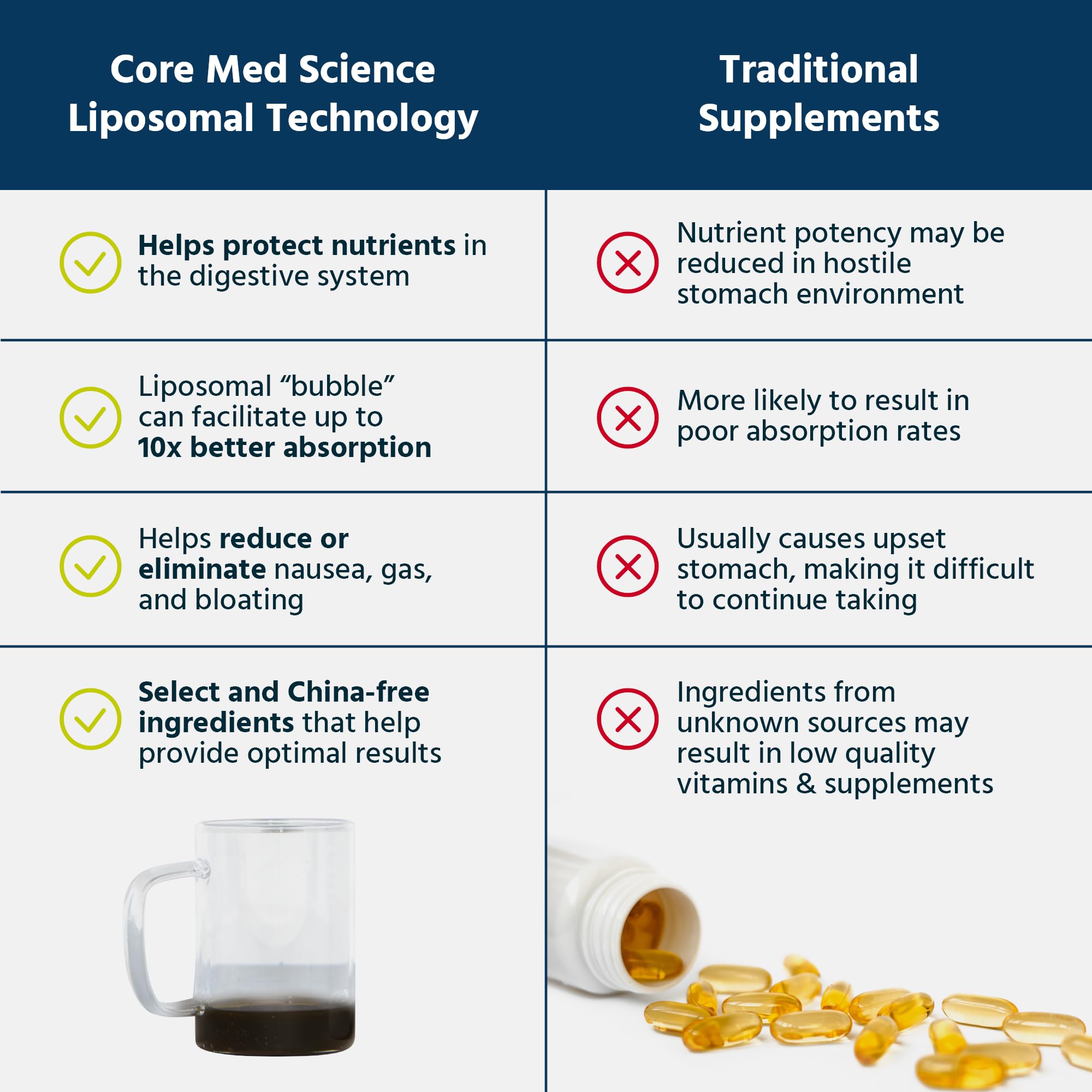 Liver and gut health support from phosphatidylcholine