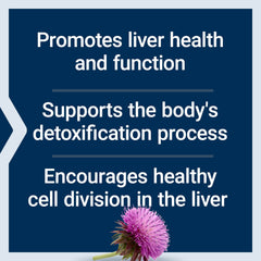 Liver health and detox support visual