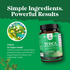 Digestive health and energy support with TUDCA