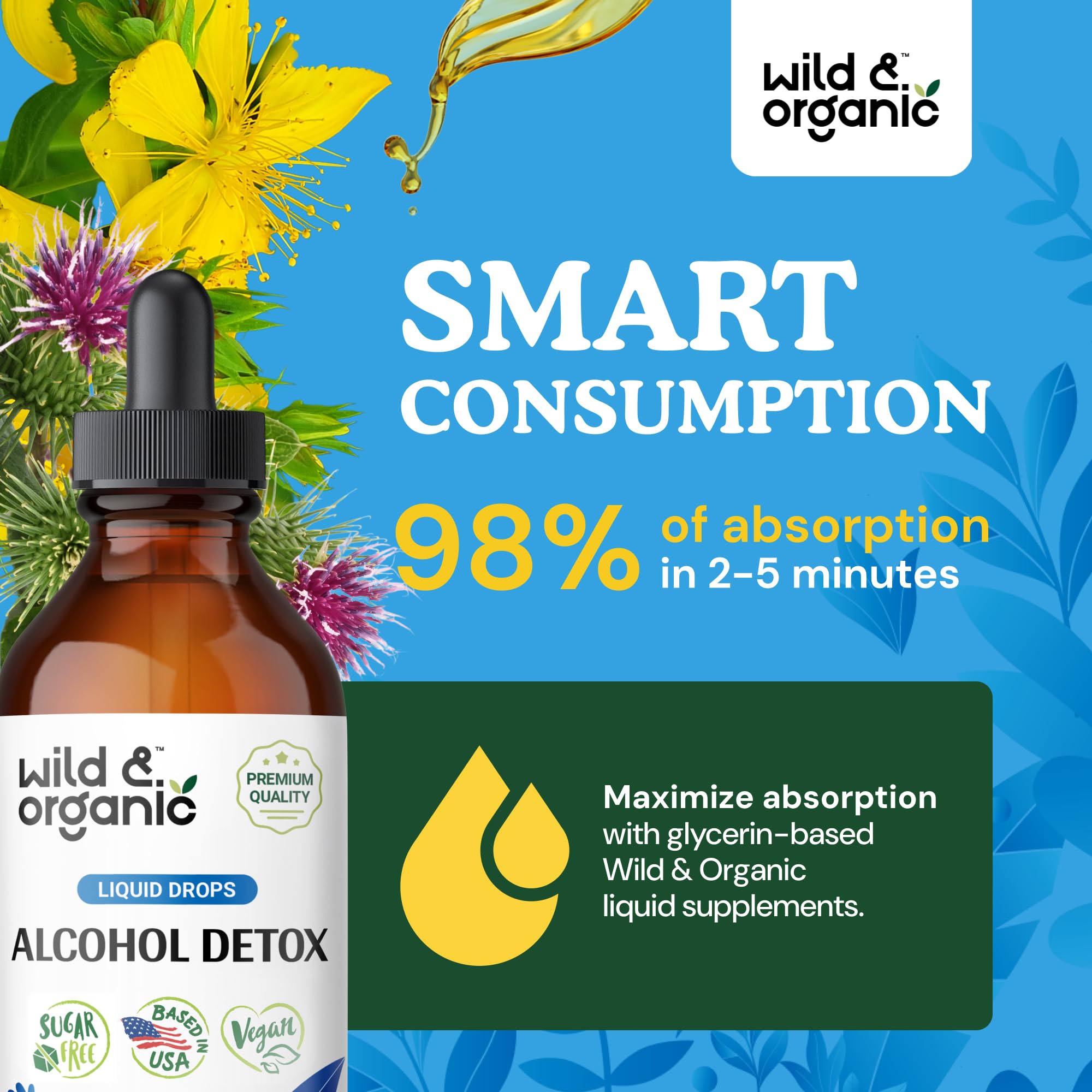 Liver and kidney detox concept with herbal icons and arrows