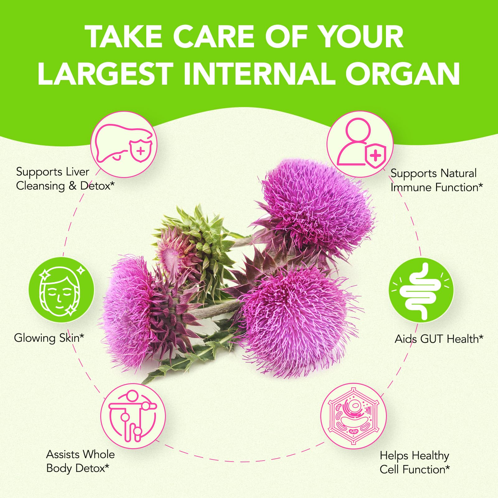 Ingredients including berberine and beetroot in the formula