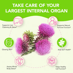 Ingredients including berberine and beetroot in the formula