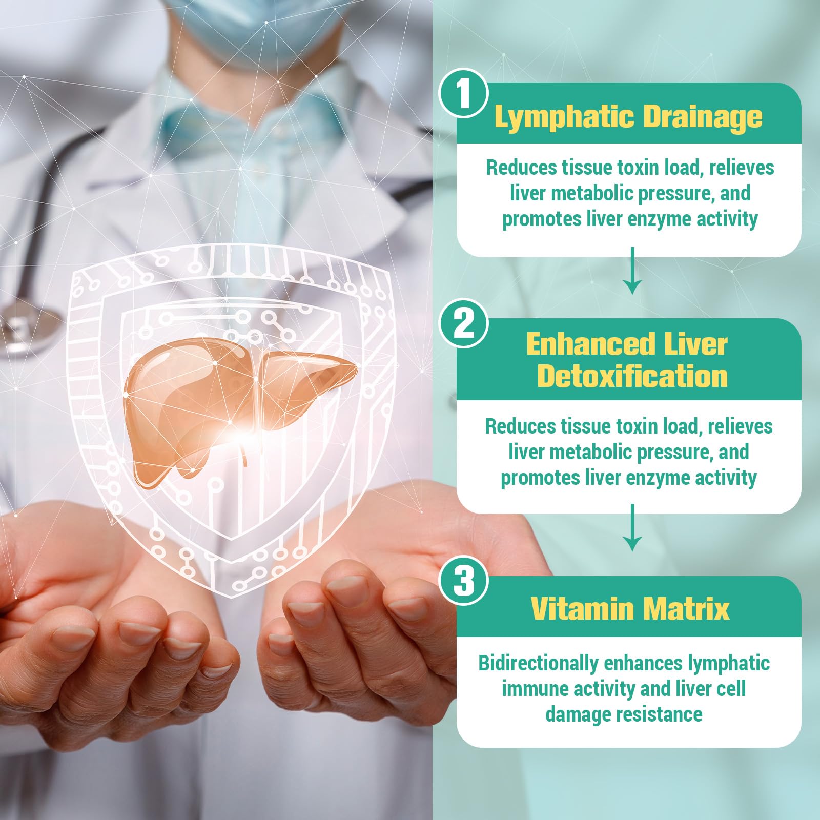 Liver detox and repair focus with Milk Thistle and Artichoke