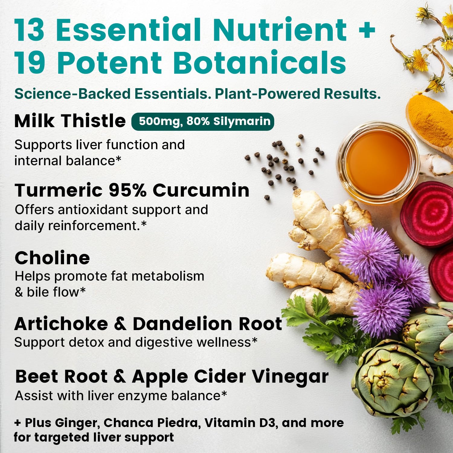 Artichoke extract used in liver care supplement