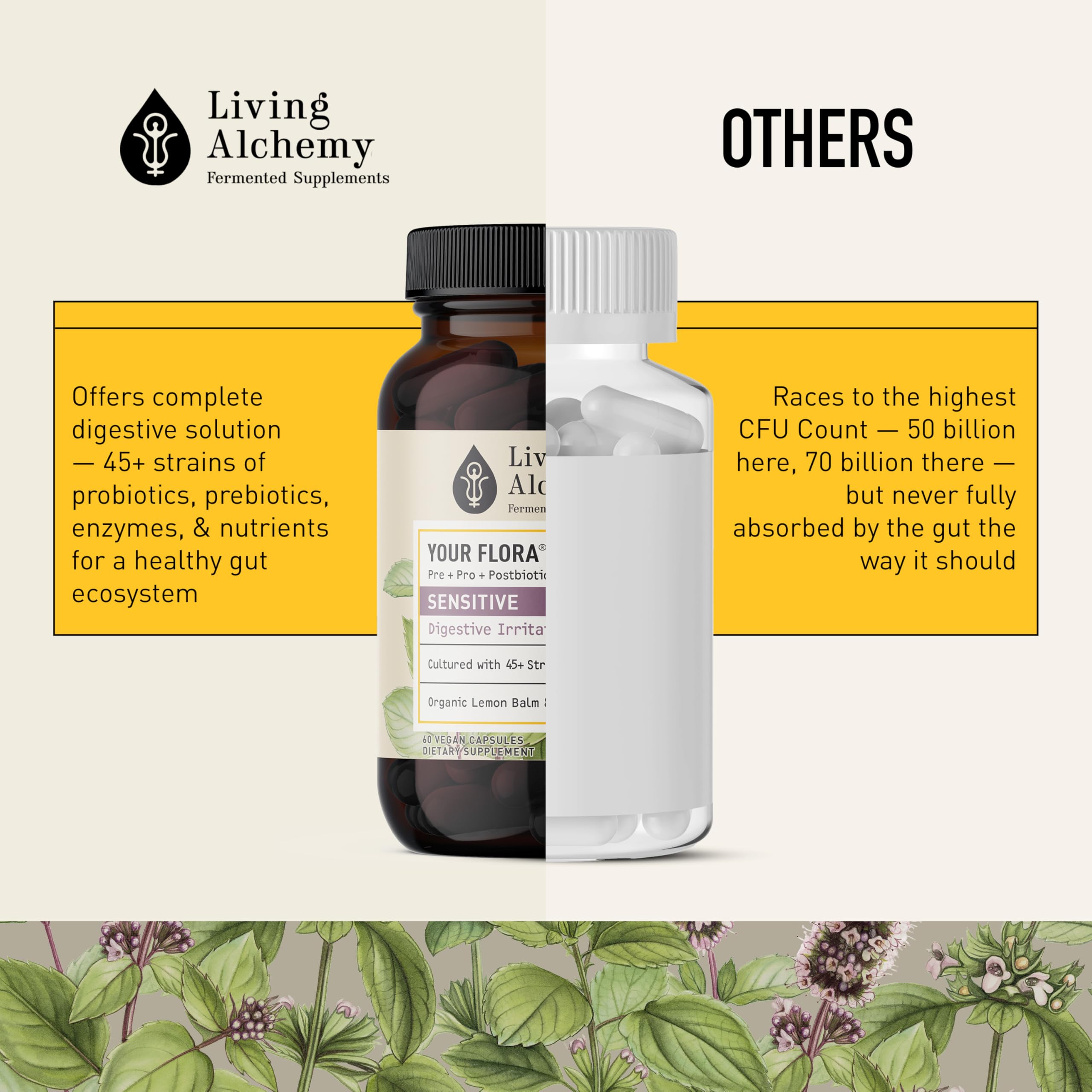 Lemon balm and peppermint herbs from Living Alchemy for calming digestion notes