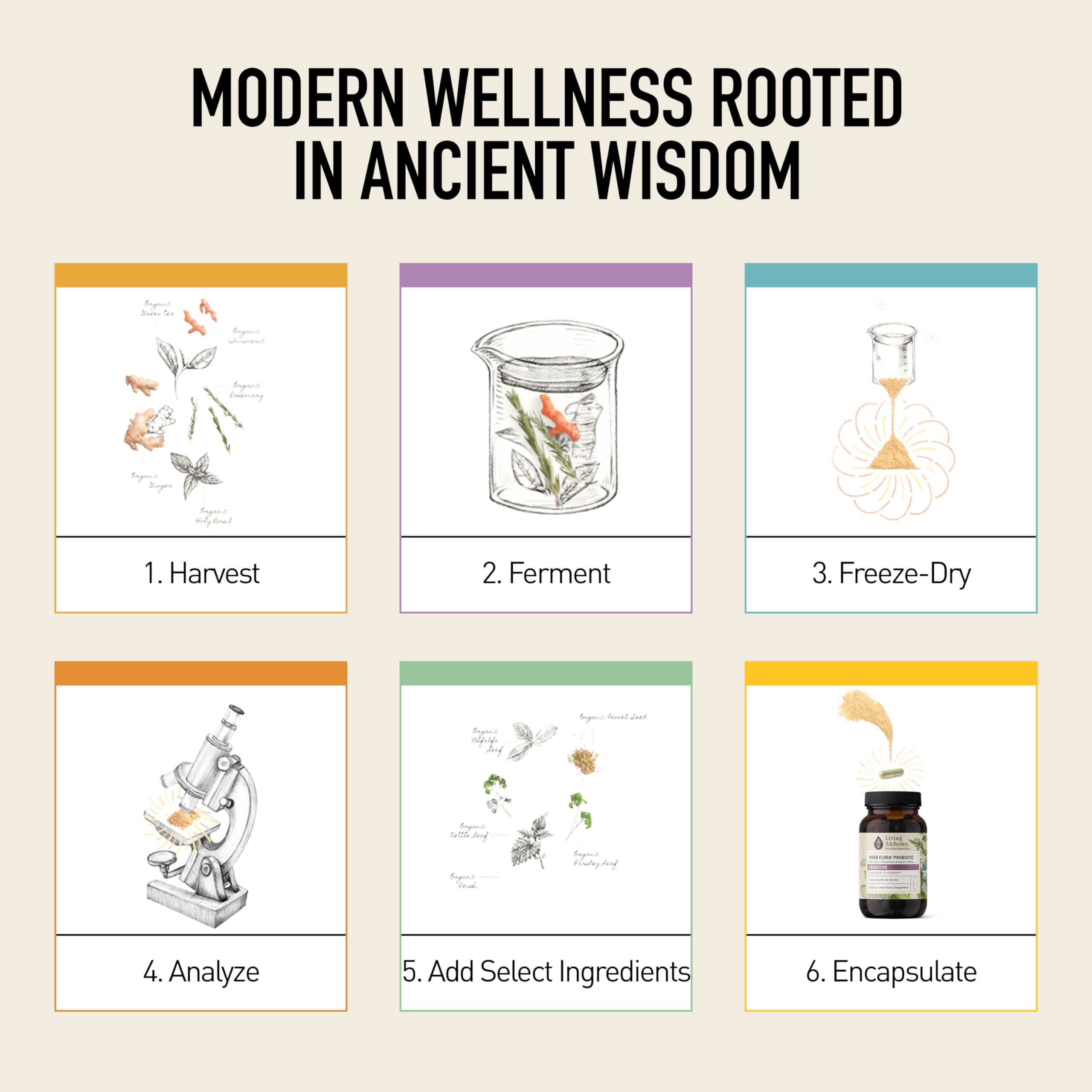 Brand heritage timeline showing Living Alchemy wellness since 2016