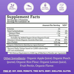 Elderberry gummies close-up with real fruit flavors