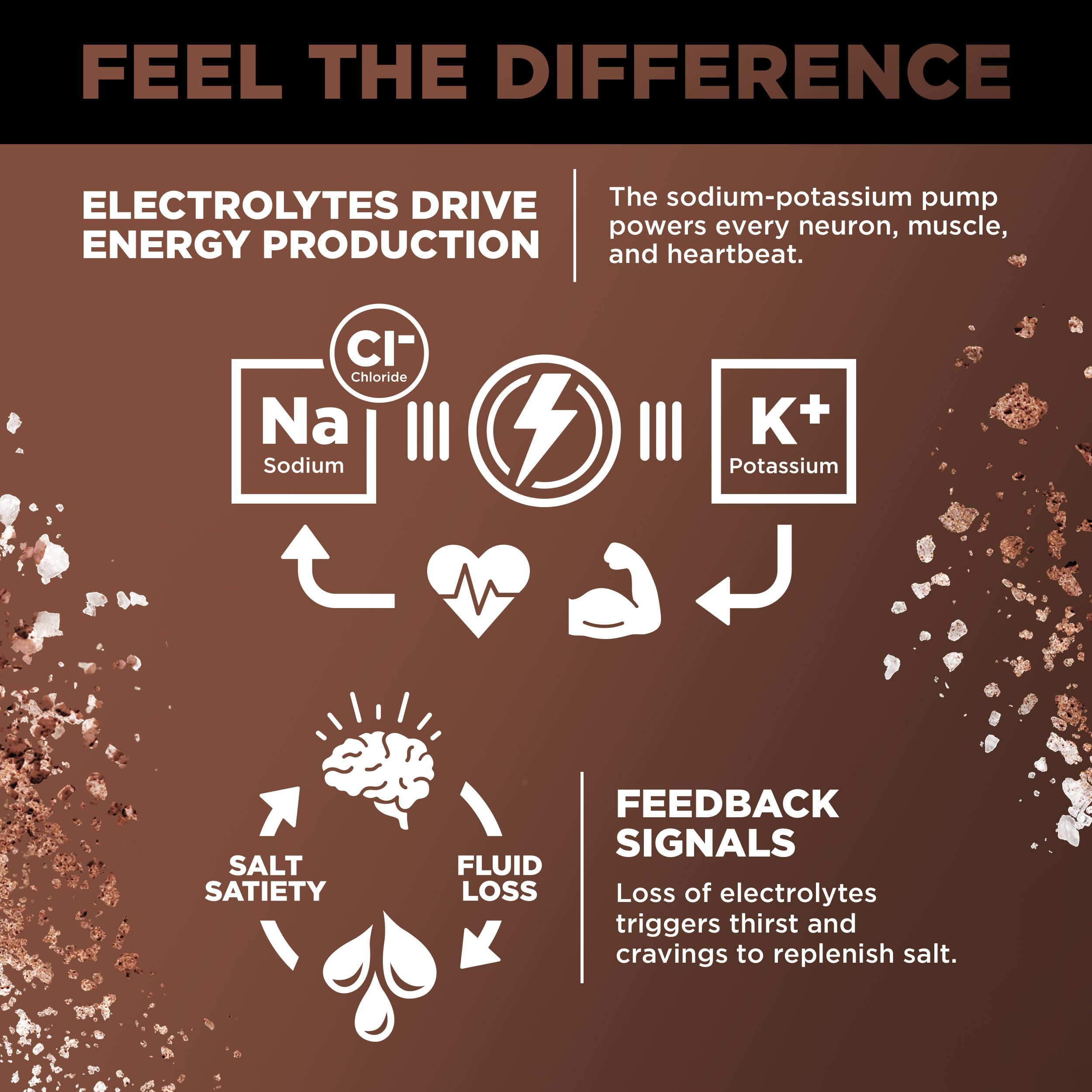 Ingredients and electrolytes in LMNT Chocolate Salt flavor