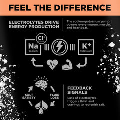 Assorted LMNT Sparkling Electrolyte drinks in a 12-count carton