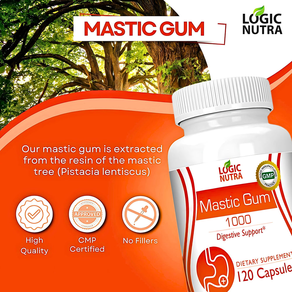 Natural resin source Pistacia lentiscus used for mastic gum