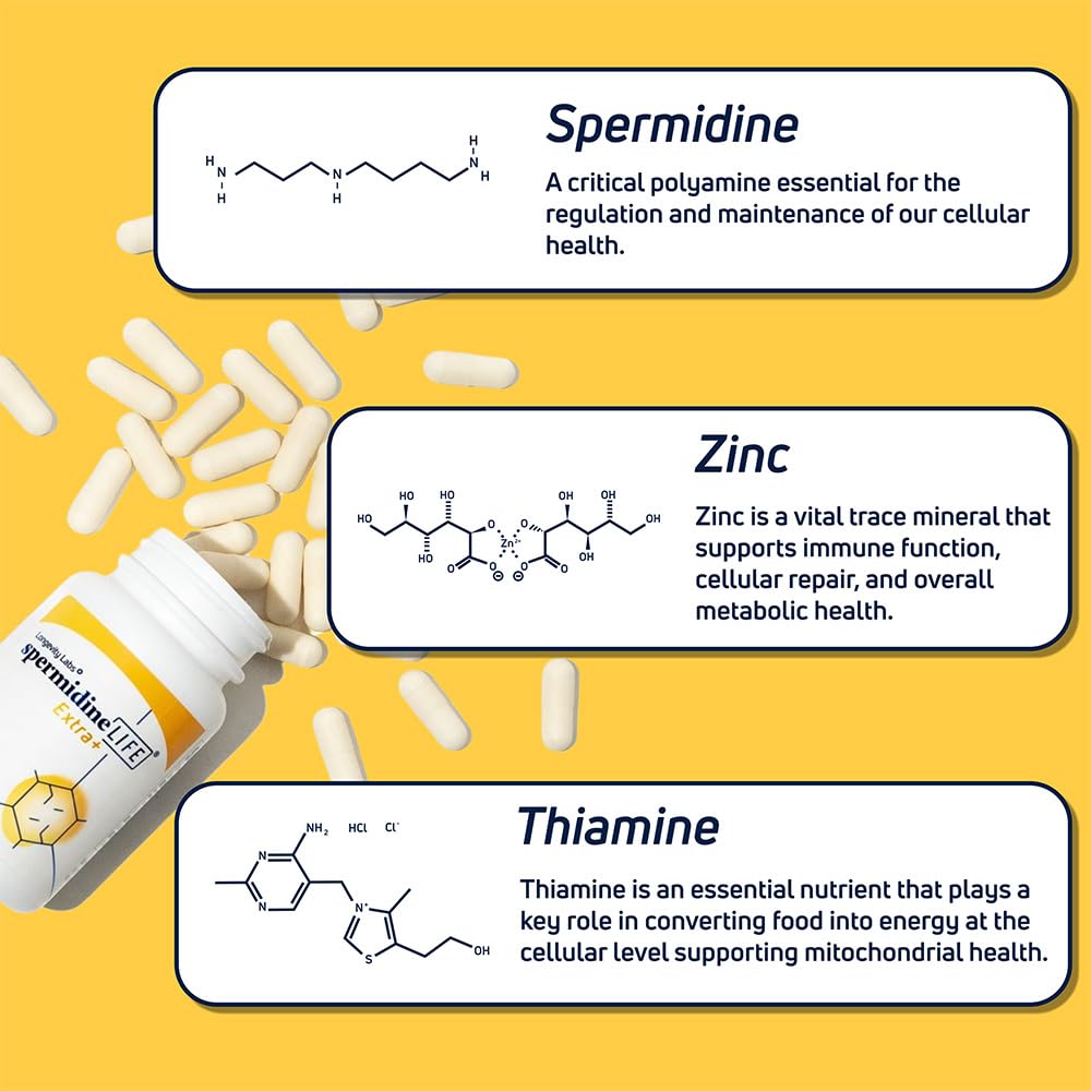 Vegan and non-GMO label on spermidineLIFE bottle