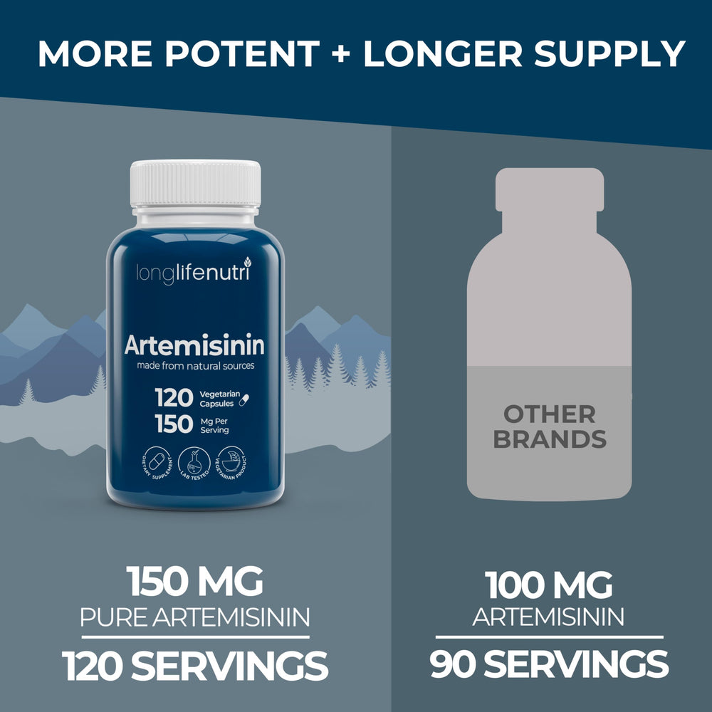 Organic Artemisia Annua plant used for Artemisinin source