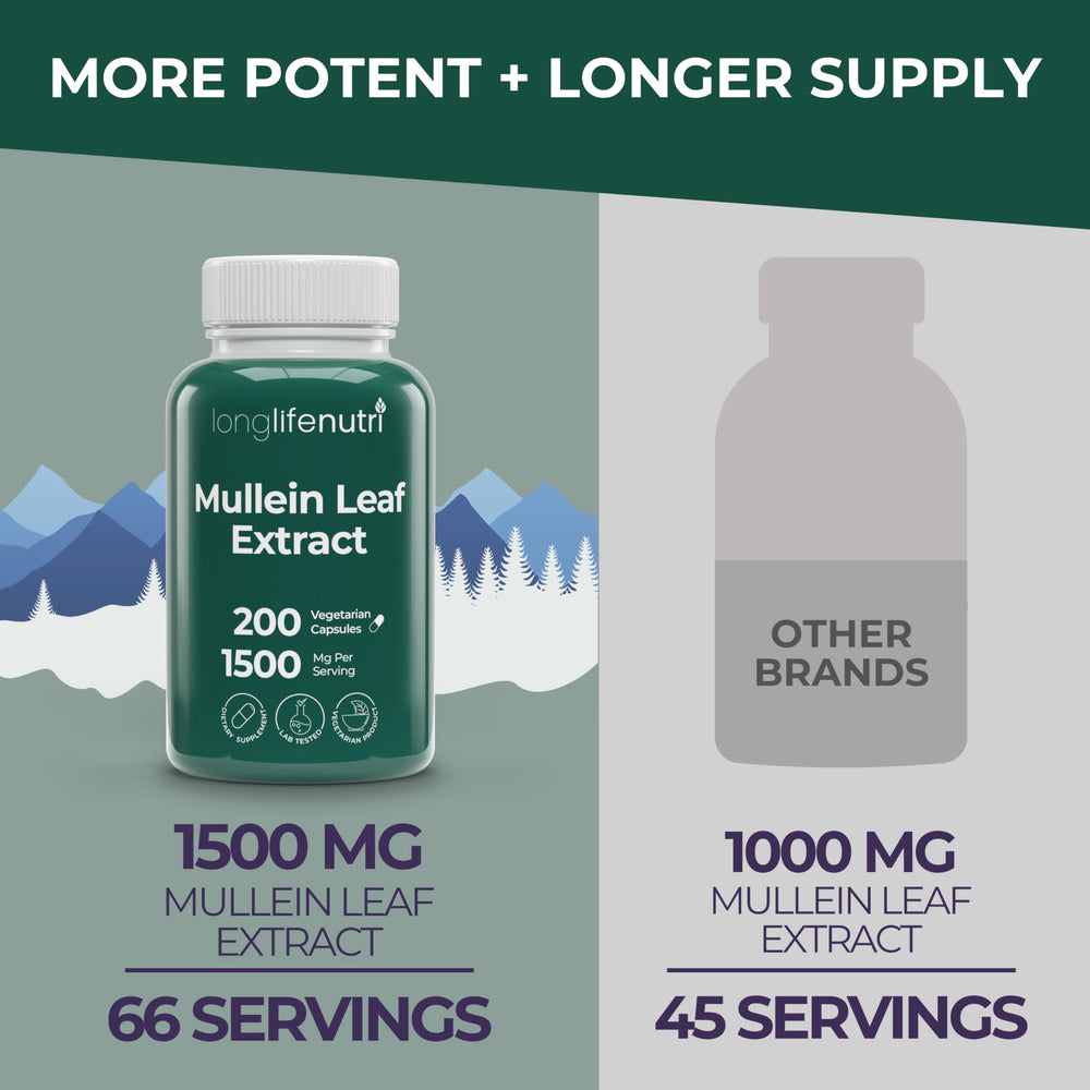 Close-up view of mullein leaf powder used in LongLifeNutri