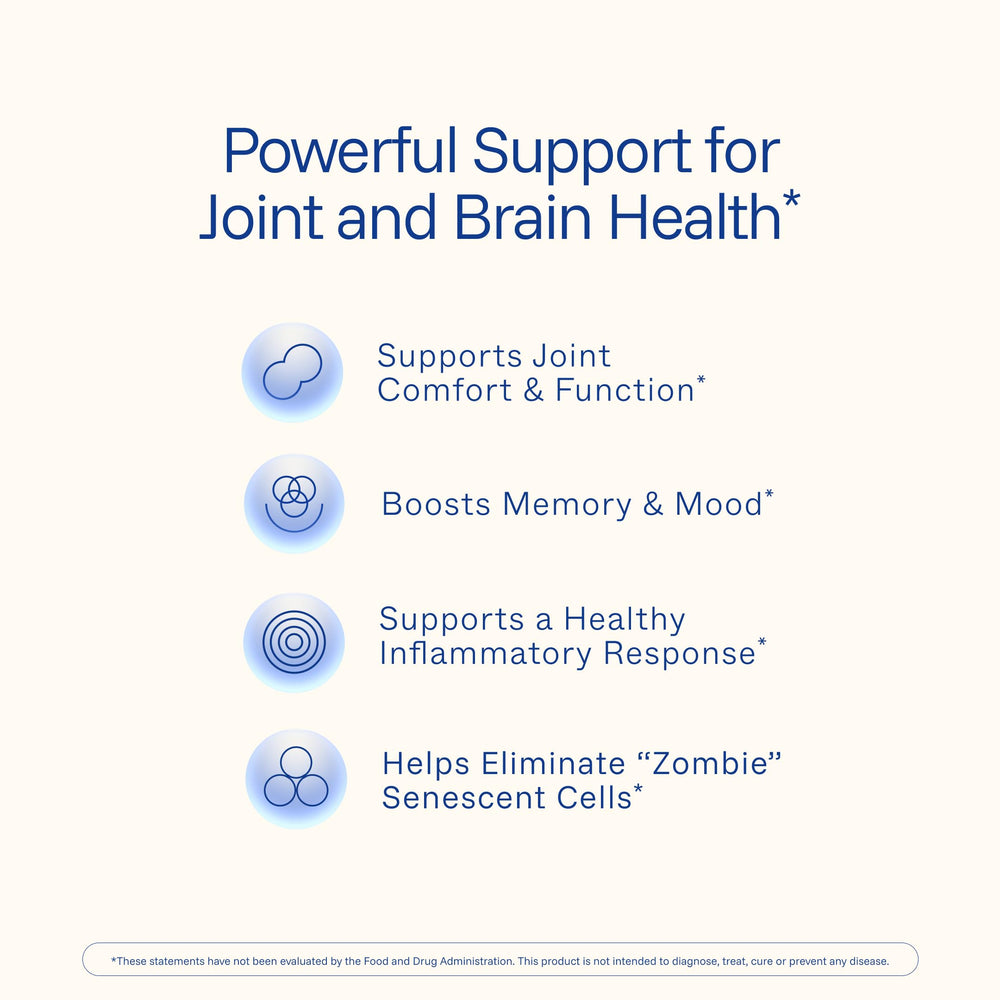 Longvida Curcumin extract (1000 mg per serving)