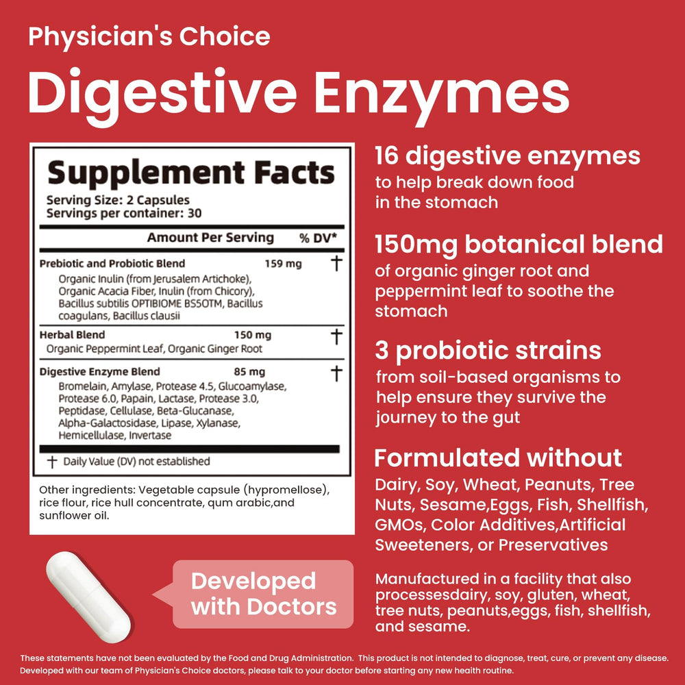 Illustration of gut health and balanced digestion