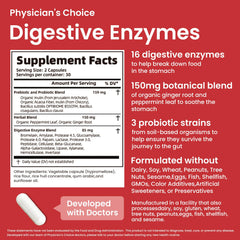 Illustration of gut health and balanced digestion