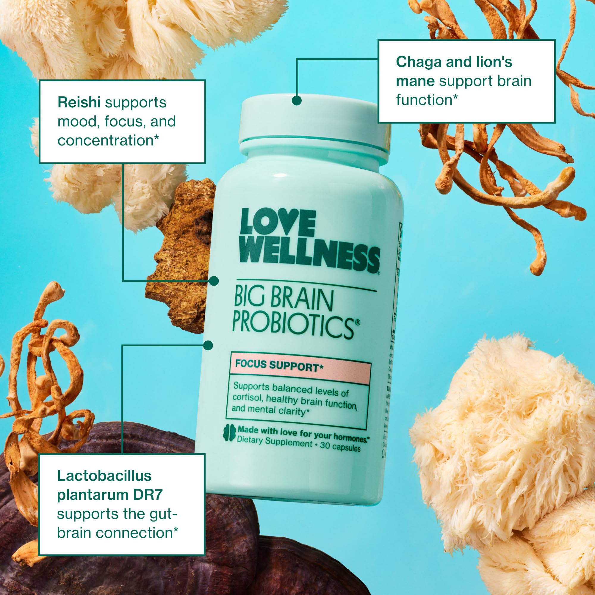 Capsule close-up of Big Brain Probiotics