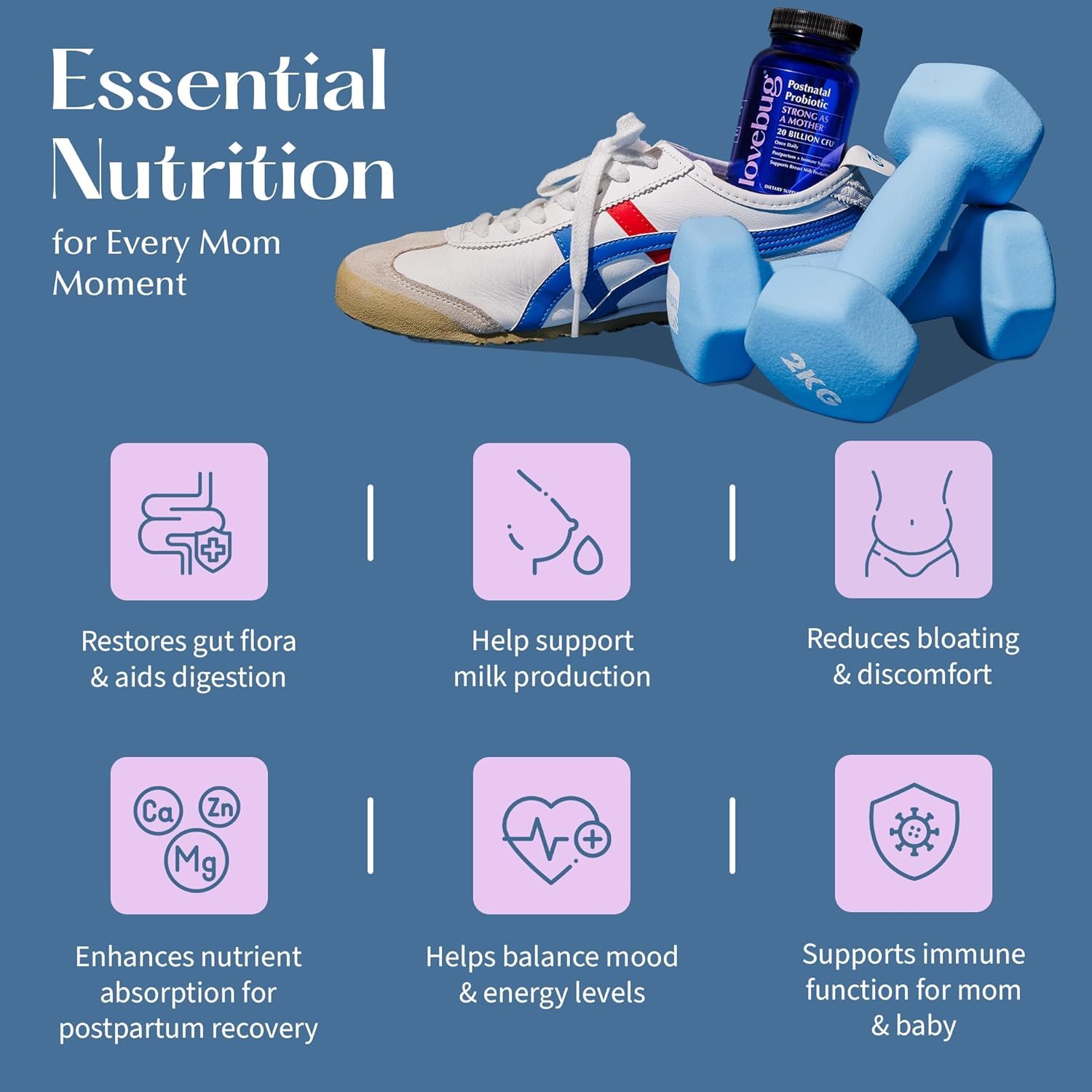 Fenugreek, Milk Thistle, and Fennel seeds illustration for lactation support