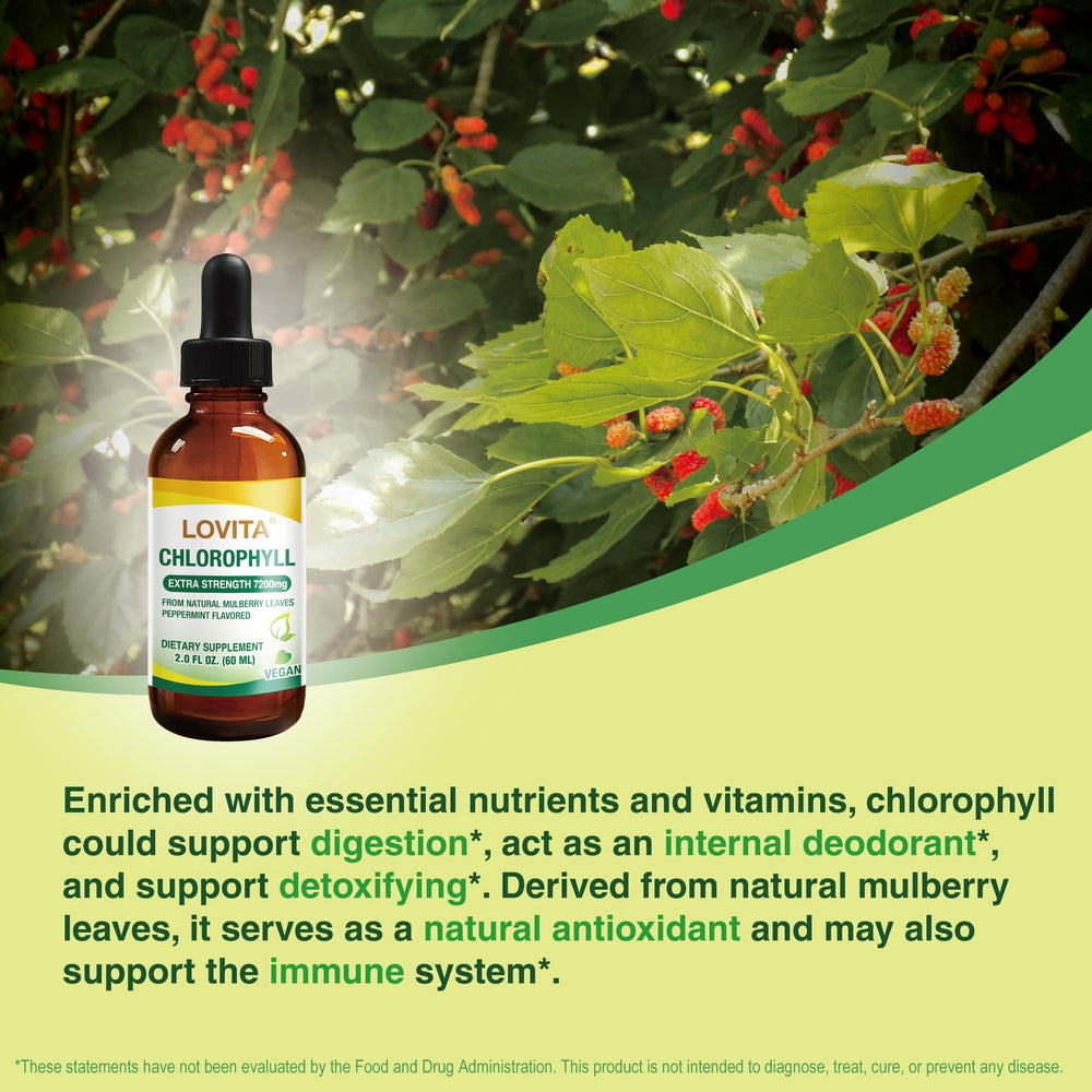 Immune support and liver health illustration