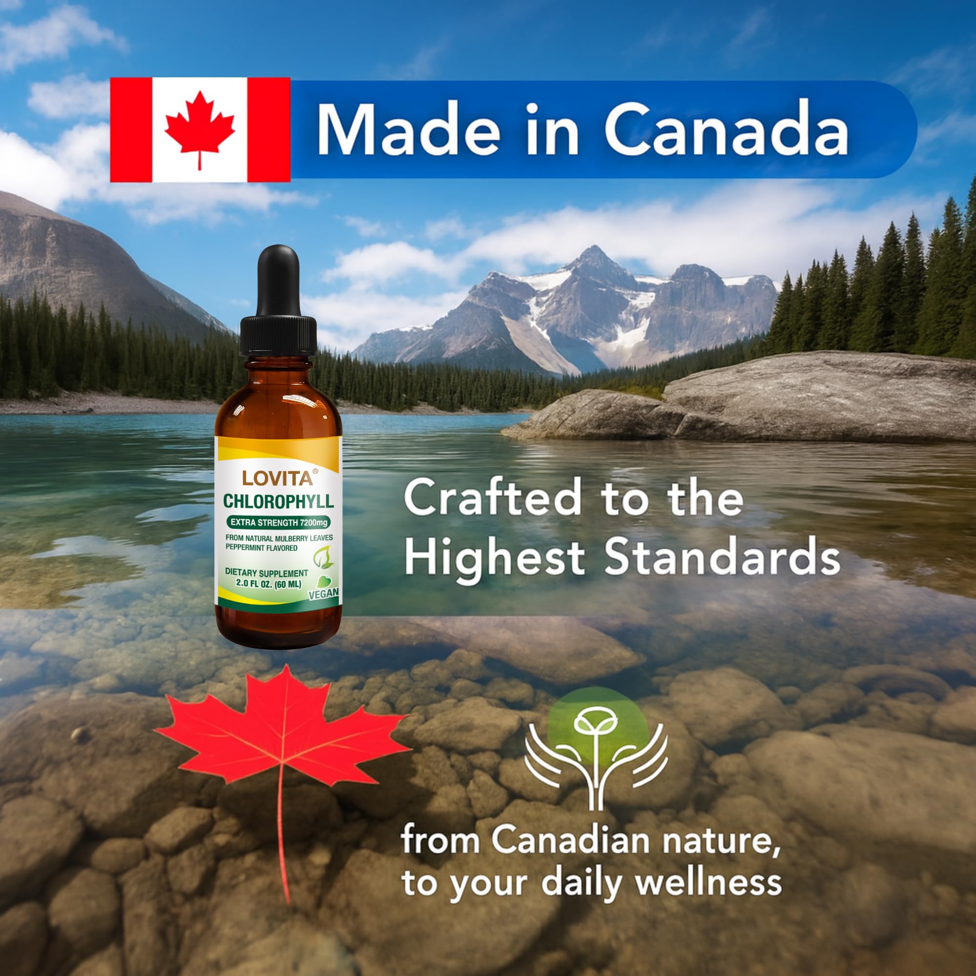 Lifestyle image showcasing energy and immune support benefits