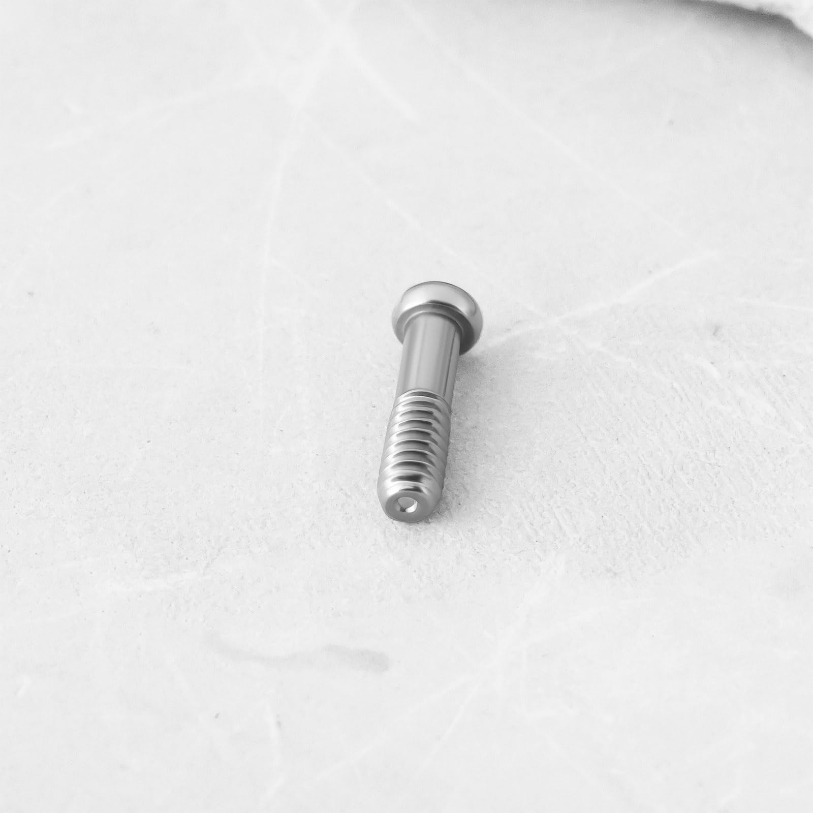 Back view of LT Easiyl screws on Wayfarer RB2140