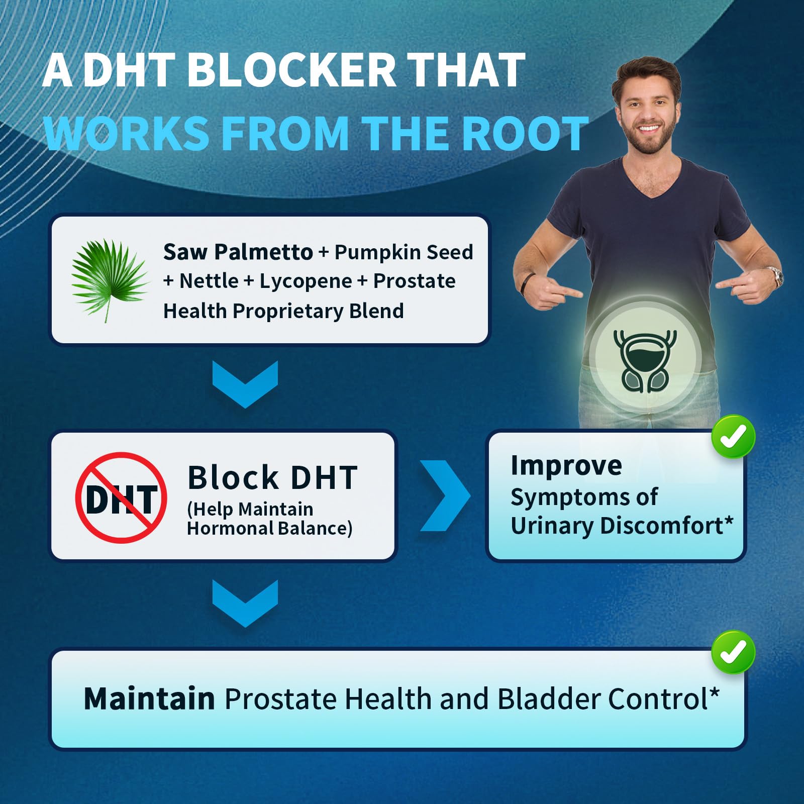 Ashwagandha and Reishi adaptogenic herbs components