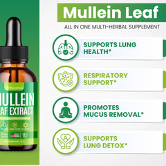 Lung detox ingredients featuring chlorophyll