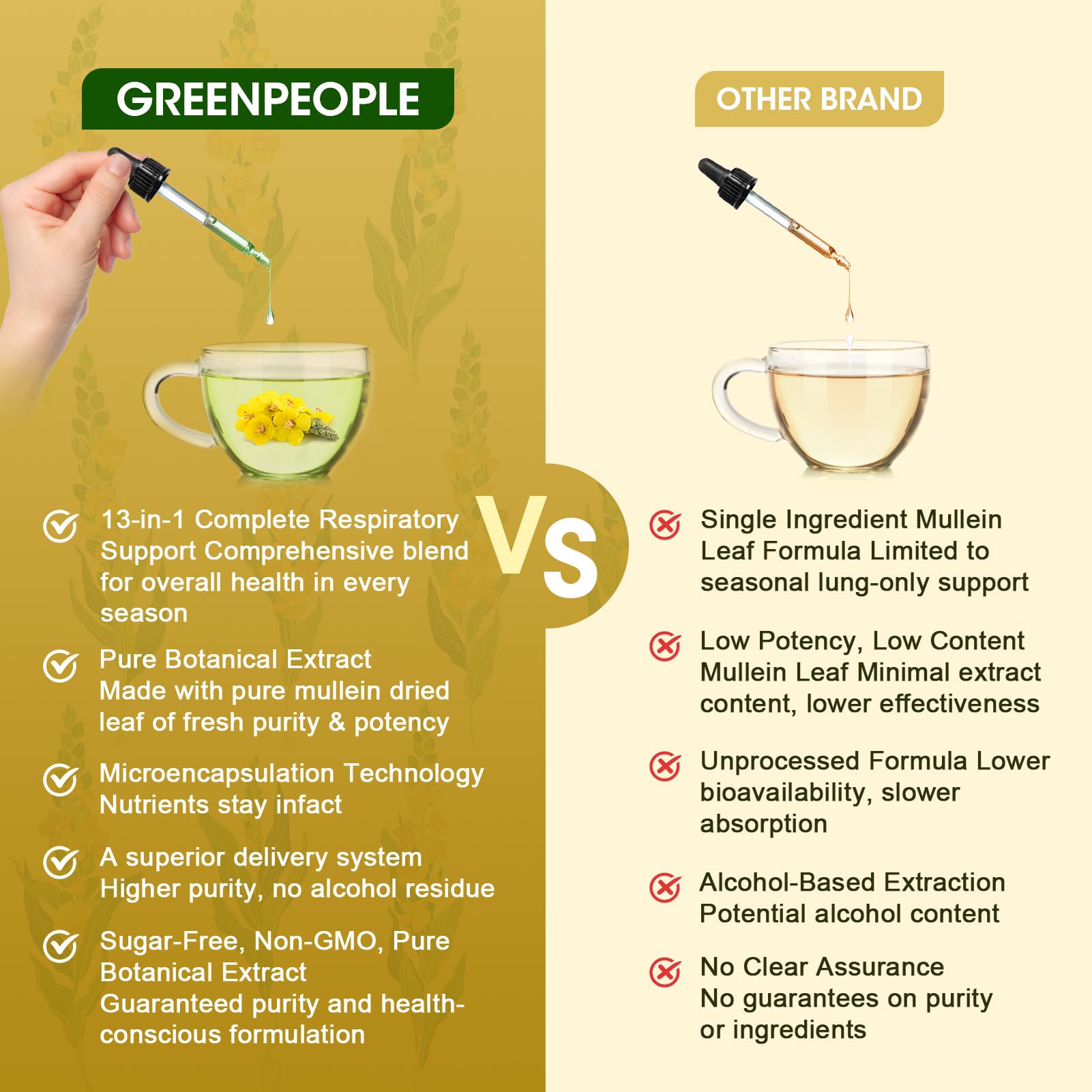 Illustration of lungs and lymphatic system supported by herbs