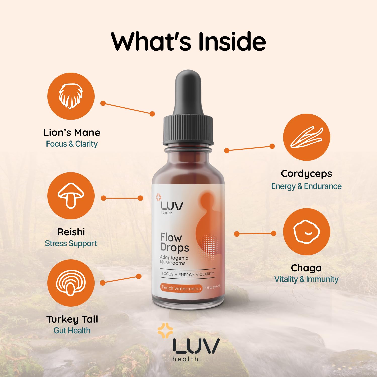 Flow Drops bottle showcasing energy and focus with mushroom blend