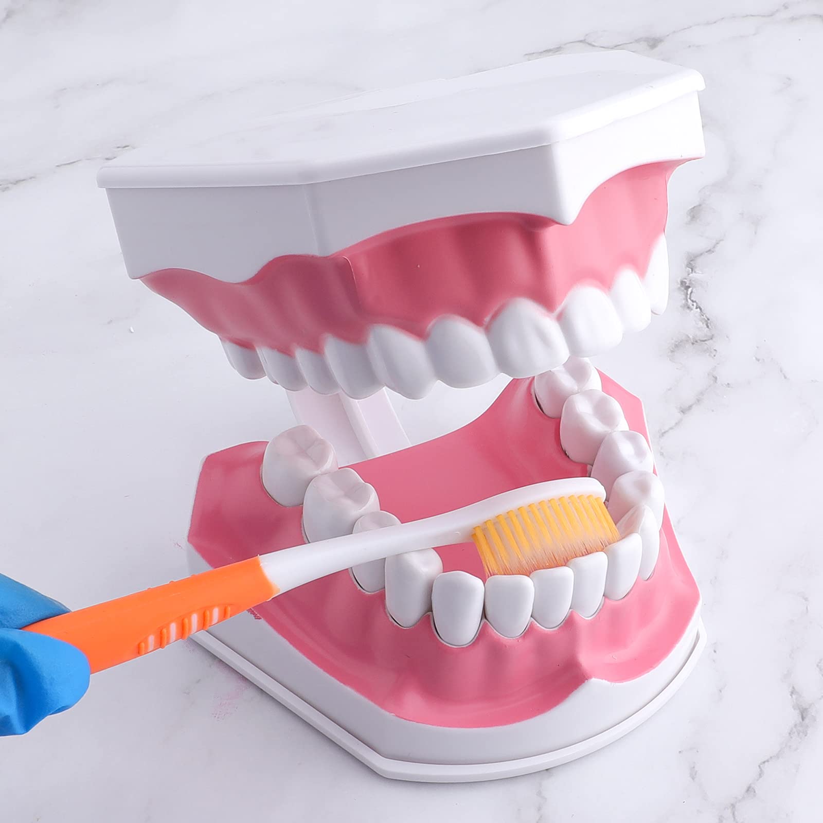 Detachable lower teeth on LVCHEN 2x model with brush