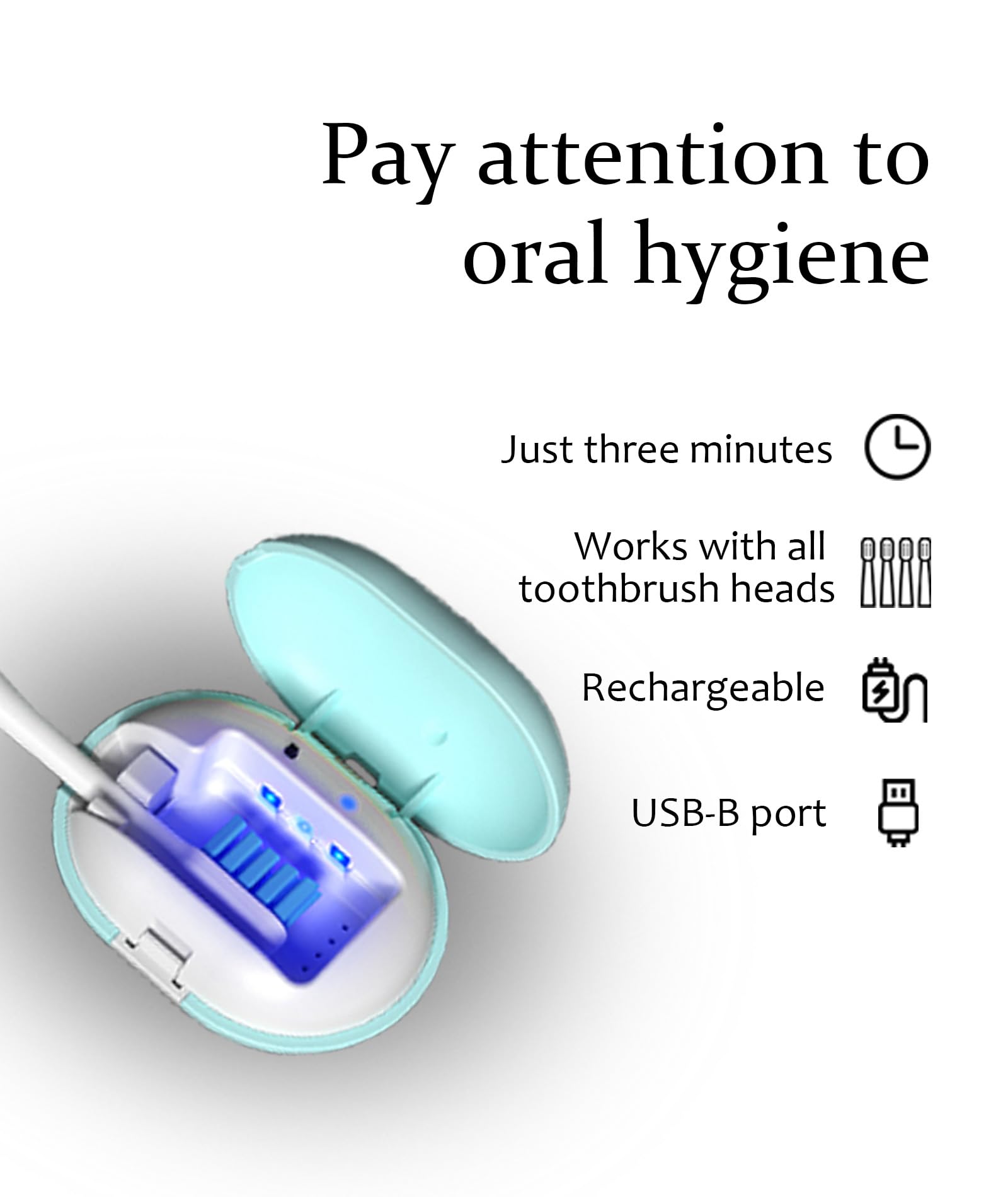 Interior view of LVNJEISHX toothbrush case
