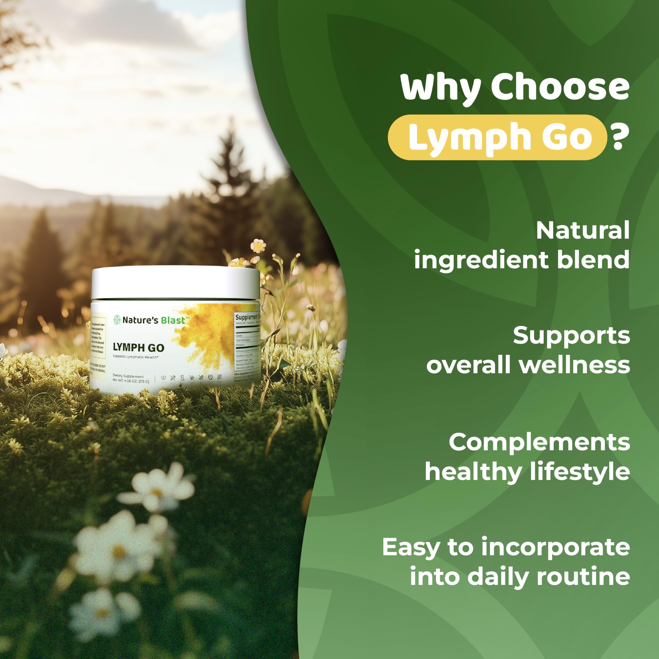 Lymph Go Burdock root ingredient