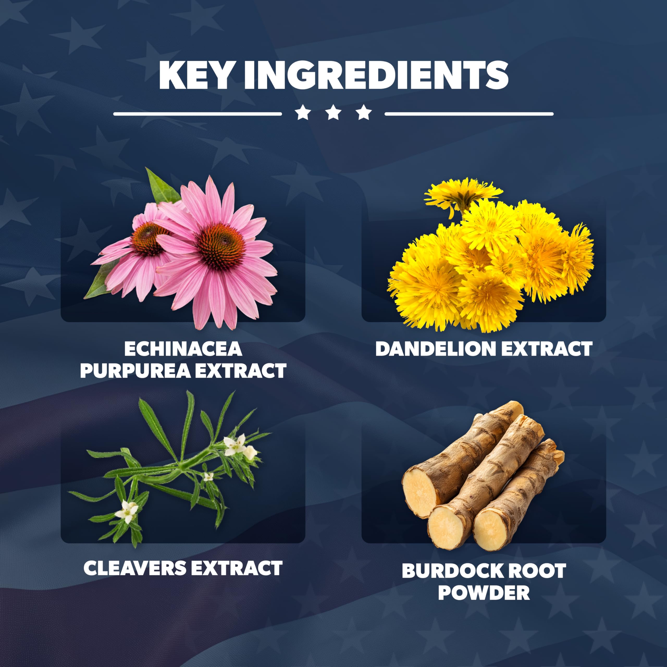 Herbal blend ingredients including Burdock Root, Cleavers, Rutin, Kelp and Lemon Peel
