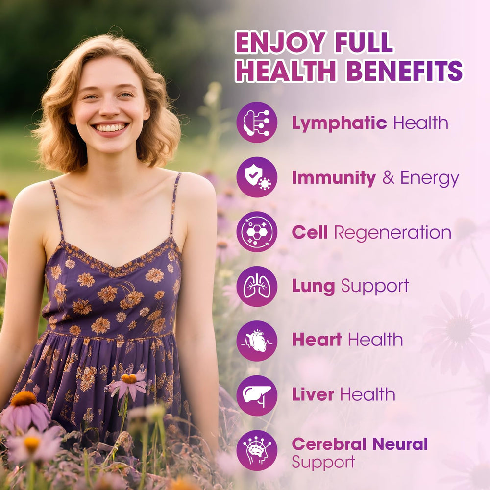 Herbal ingredients chart featuring echinacea and elderberry