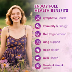 Herbal ingredients chart featuring echinacea and elderberry