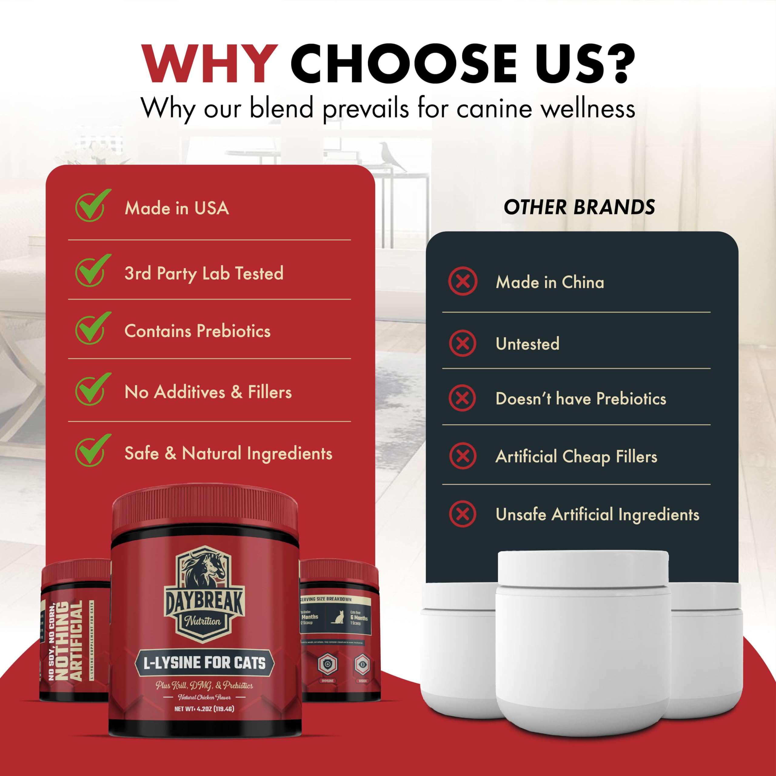 Image highlighting eye health and respiratory support for cats