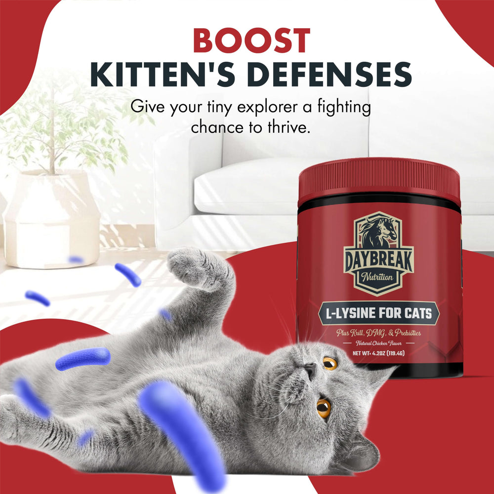 Cat supplement contains 250 mg krill and 900 mg L-lysine
