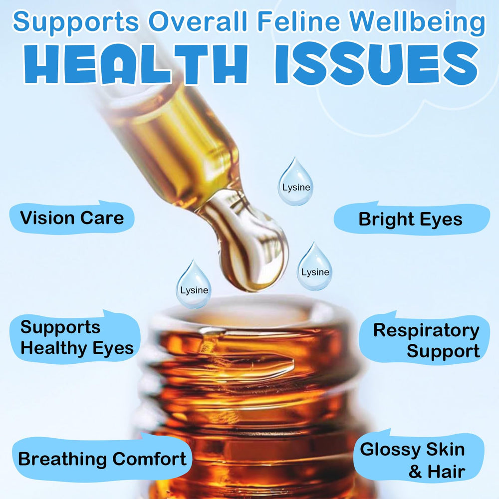 Lysine for cats bottle on kitchen counter