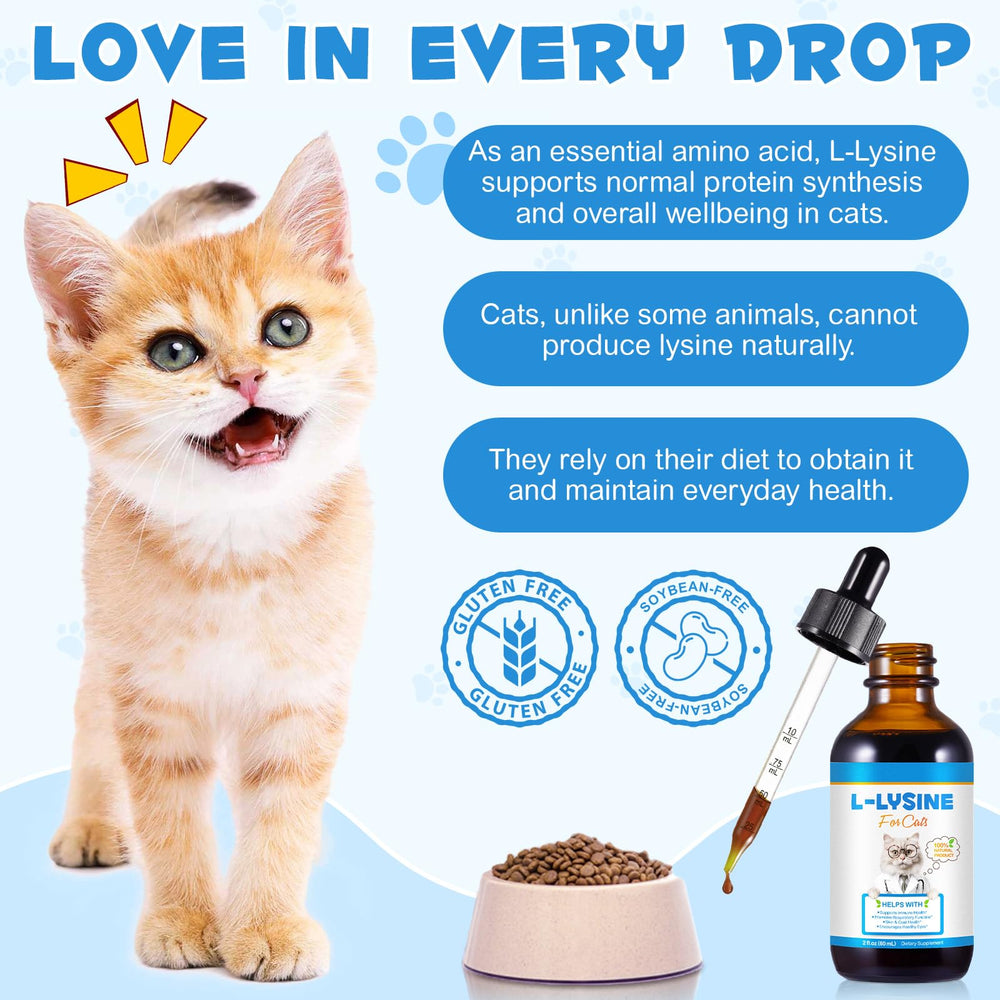 Packaging of lysine supplement for cats