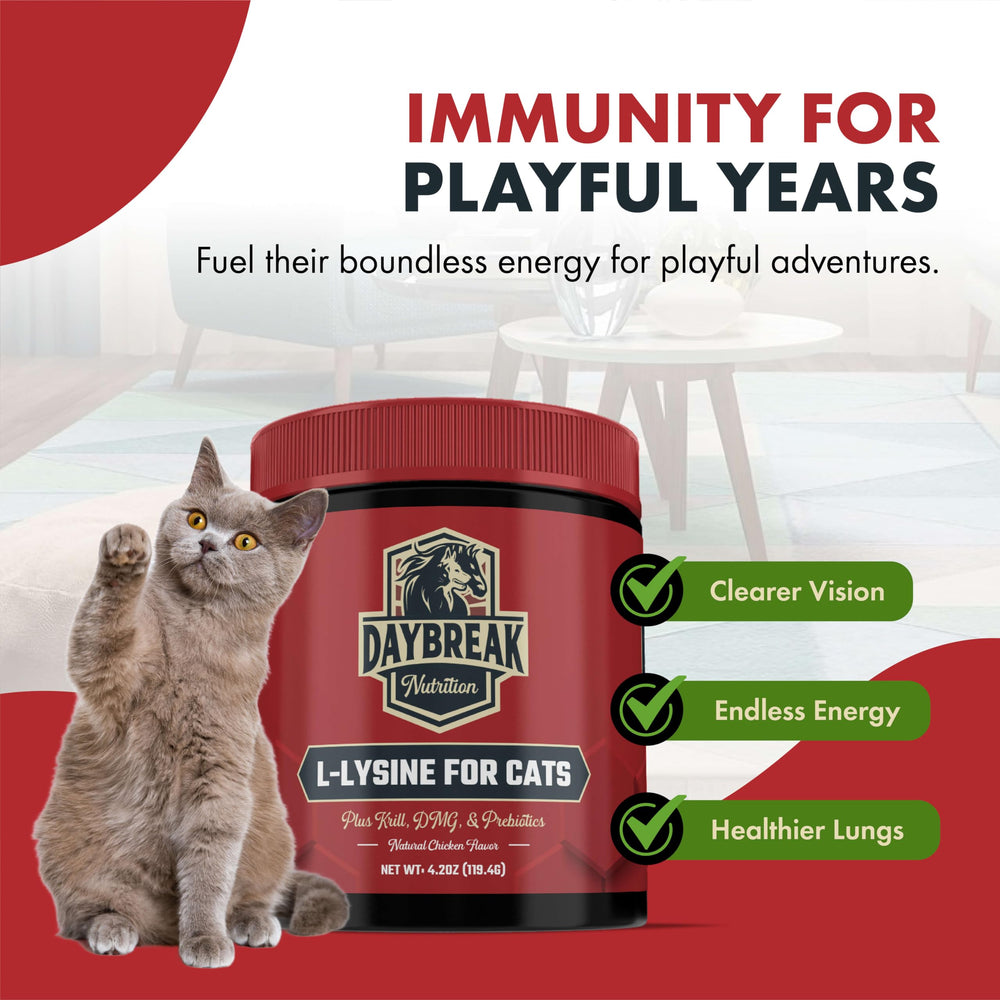 Bottle of L-Lysine for cats supplement