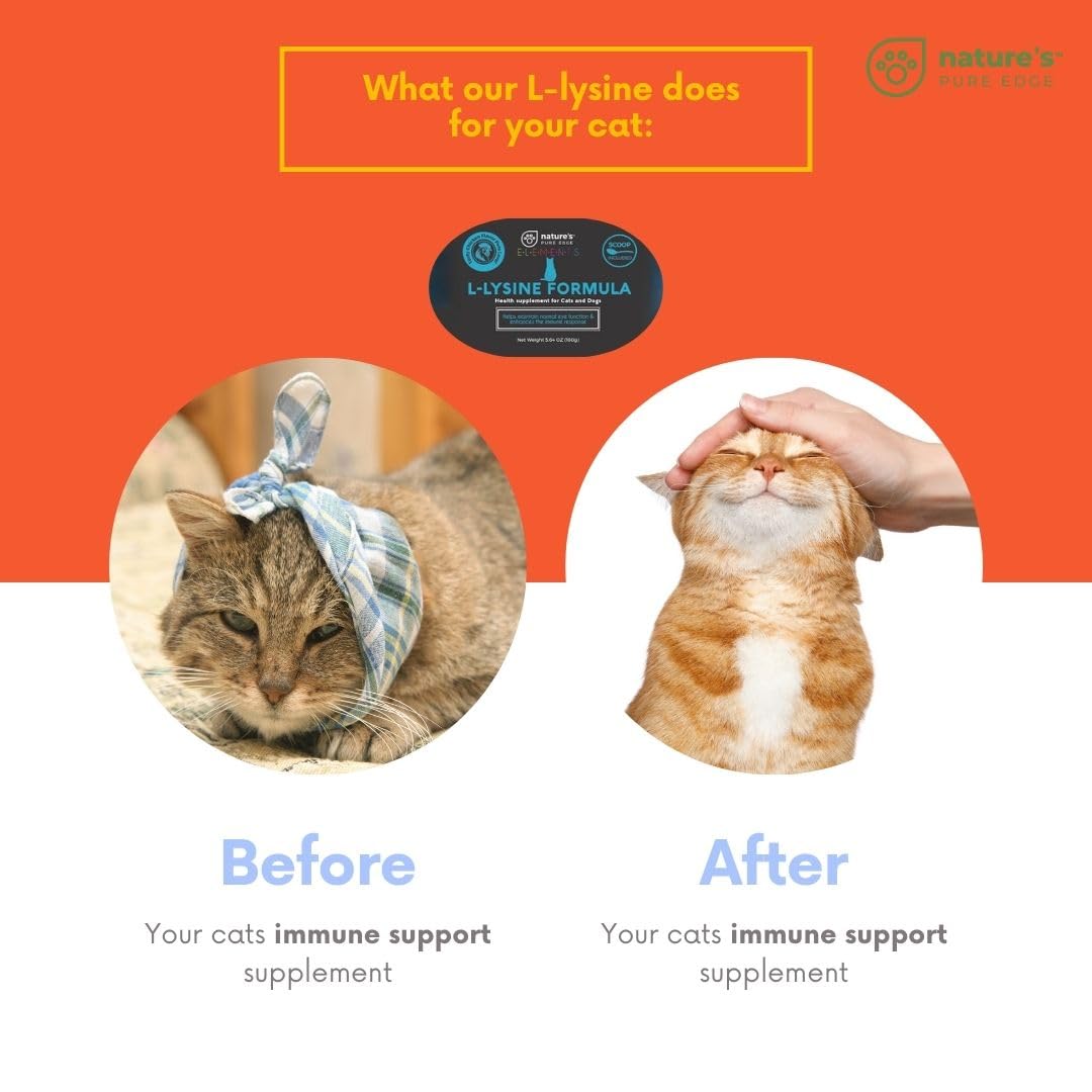 L-Lysine powder jar labeled for immune support in pets