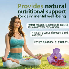 Lytavia Zafira ingredient label showing saffron L-theanine ginger myo-inositol details