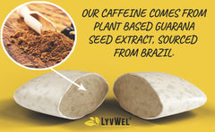 Ingredients image highlighting sugar-free gum with xylitol and stevia