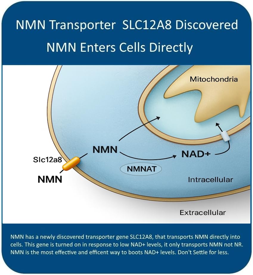 Maac10 NMN bottle with 30-count label