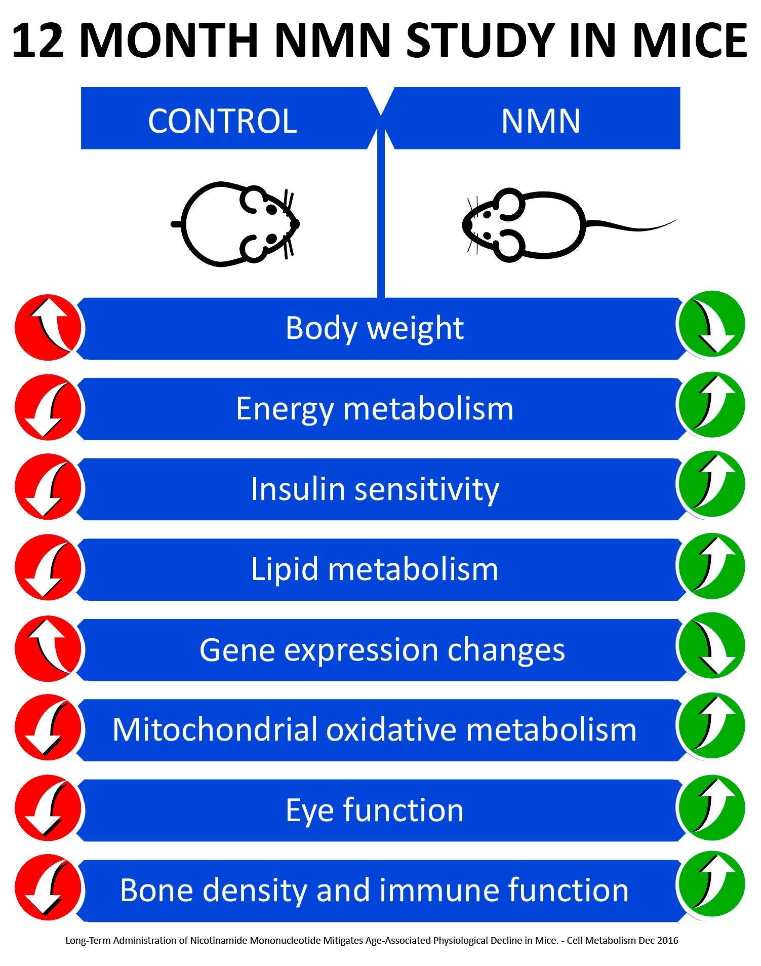 NMN molecule illustration showcasing NAD+ boost