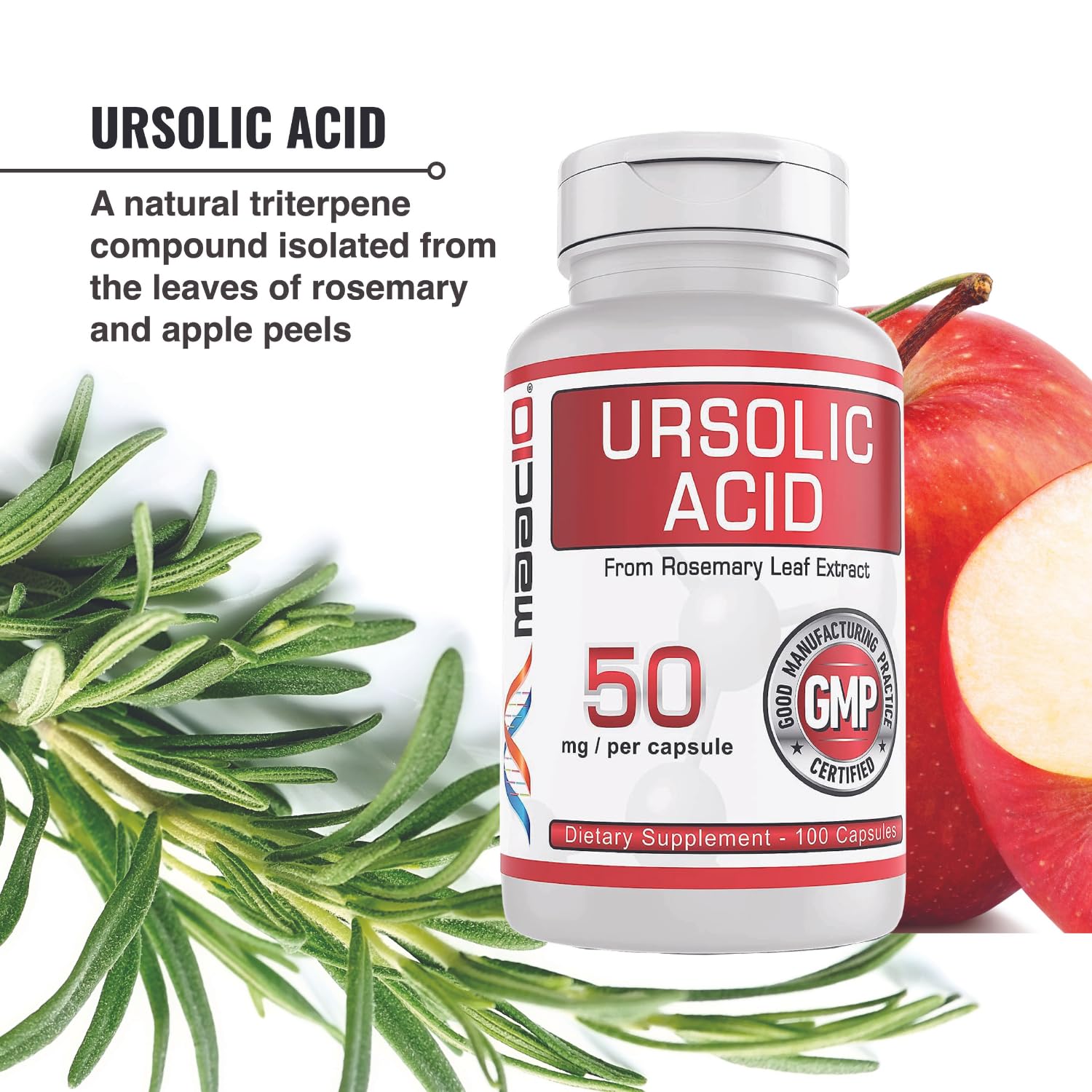 Graphic showing AMPK and Sirtuin activation benefits