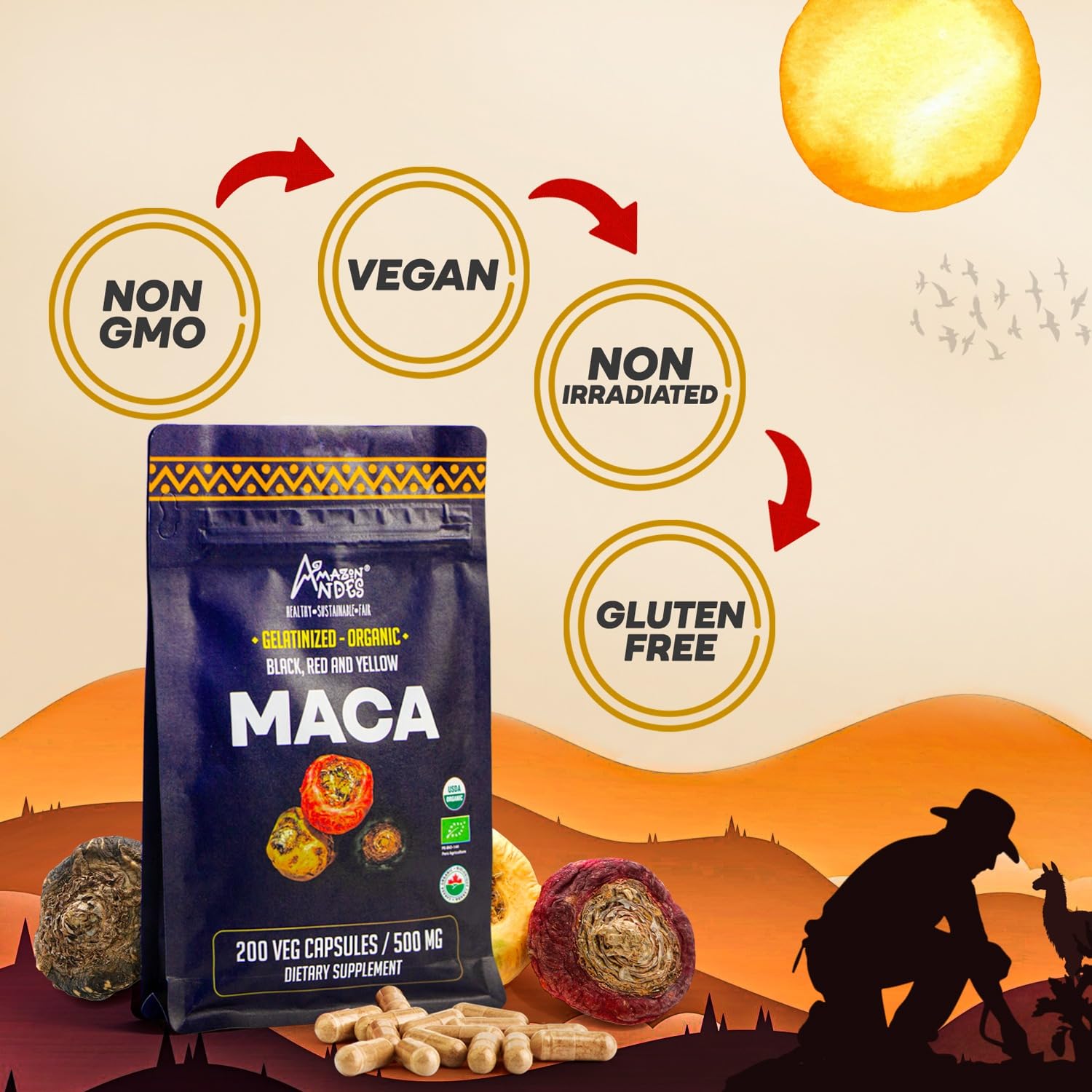 Maca ingredients infographic