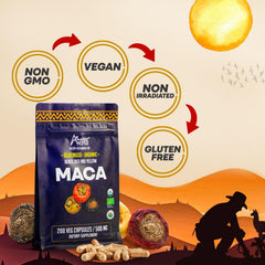 Maca ingredients infographic