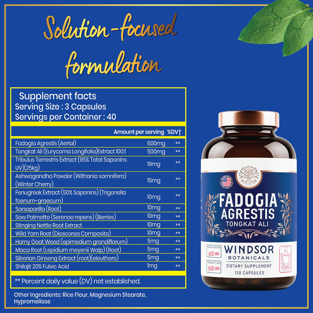 Maca root and ashwagandha ingredients illustration